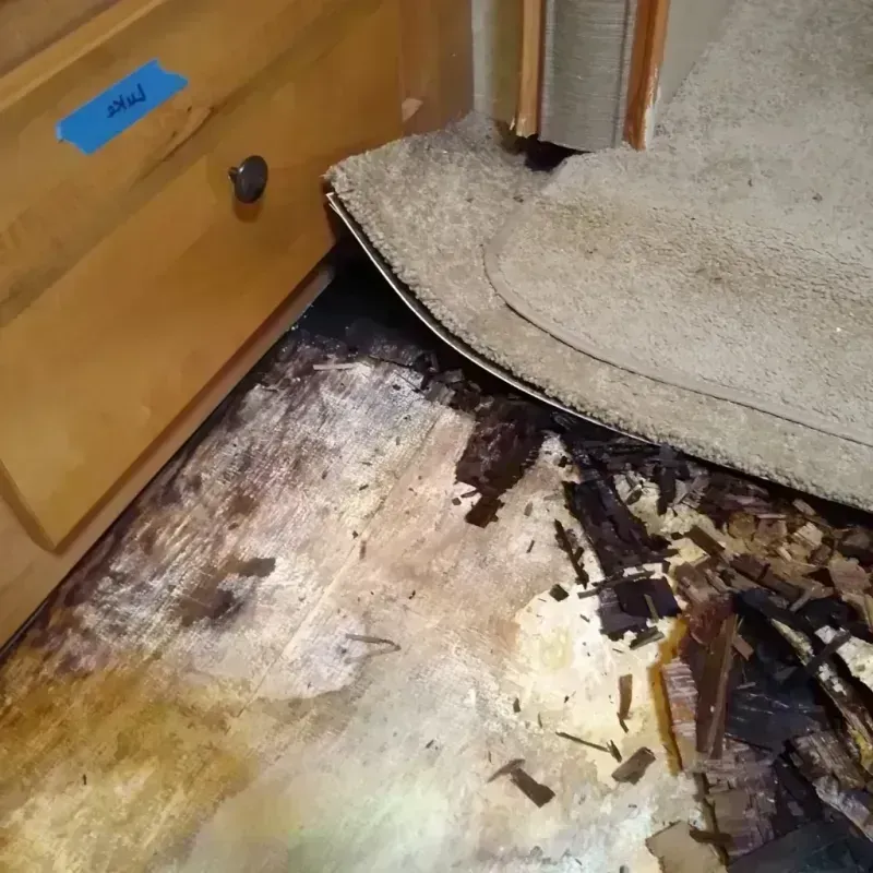 Best Wood Floor Water Damage Service in Columbine Valley, CO